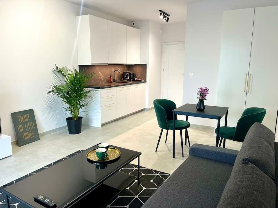 New 69 Apartment Szybowcowa Centre Katowice Free Parking Buitenkant foto